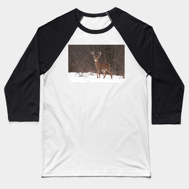 Bambi - White-tailed Buck Baseball T-Shirt by Jim Cumming
